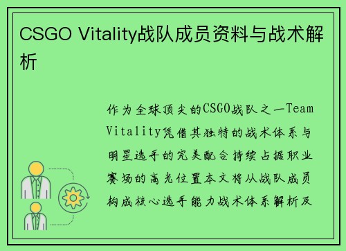 CSGO Vitality战队成员资料与战术解析