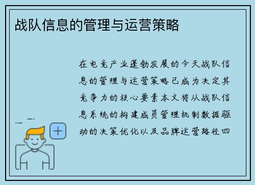 战队信息的管理与运营策略